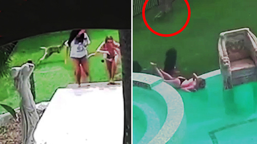 Sesi Pemotretan Model Bikini Ambyar setelah Diseruduk Kanguru