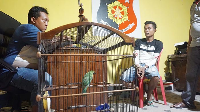 Baru Bebas 3 Minggu, Residivis Asal Lumajang Nekat Curi Burung Lagi