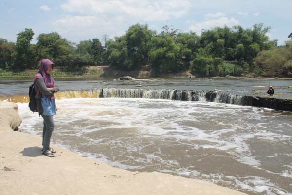 Ada 'Air Terjun Niagara Kecil' di Sungai Bengawan Solo Bojonegoro saat Kemarau
