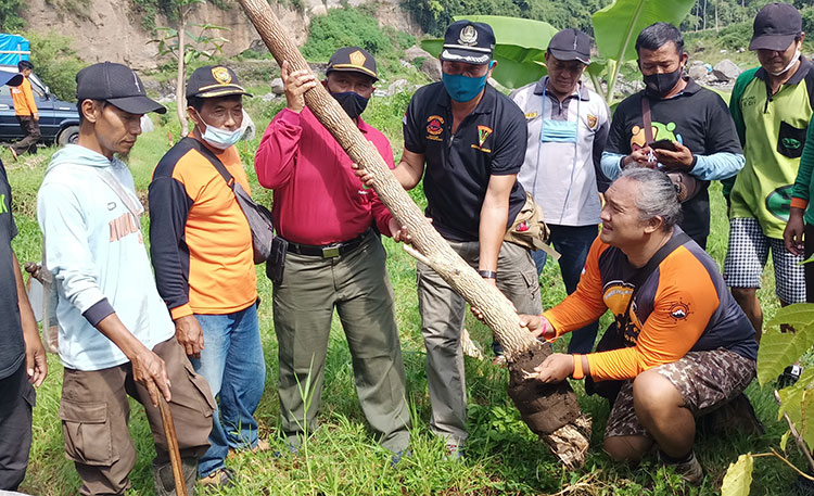 Tanam Ratusan Pohon, ARMI Bersama Perhutani Kediri dan LMDH Wonoasri Gelar Revitalisasi Mata Air