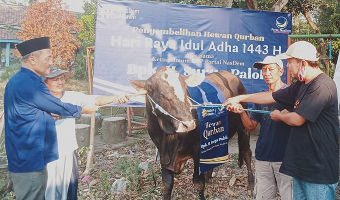 Ketua DPD NasDem Kabupaten Kediri Beri Satu Ekor Sapi untuk Takmir Mushola Al Ihsan