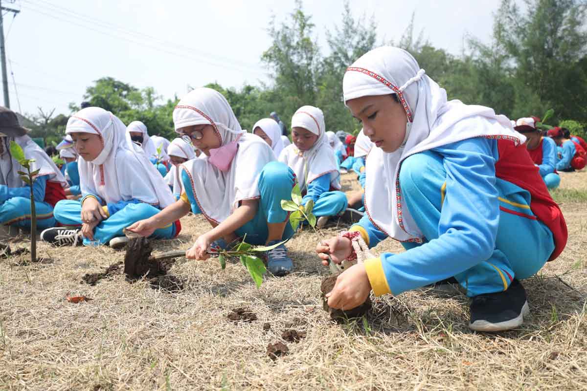 Siswa SD Al Muslim menanam bibit mangrove di Ekowisata Mangrove Wonorejo Surabaya, Senin (9/1/2023). foto ist