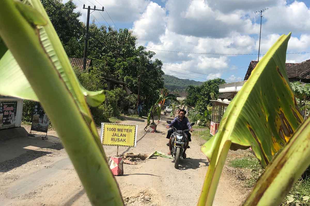 Jalan Tak Kunjung Diperbaiki, Warga Sumberagung Tulungagung Tanami Pohon Pisang