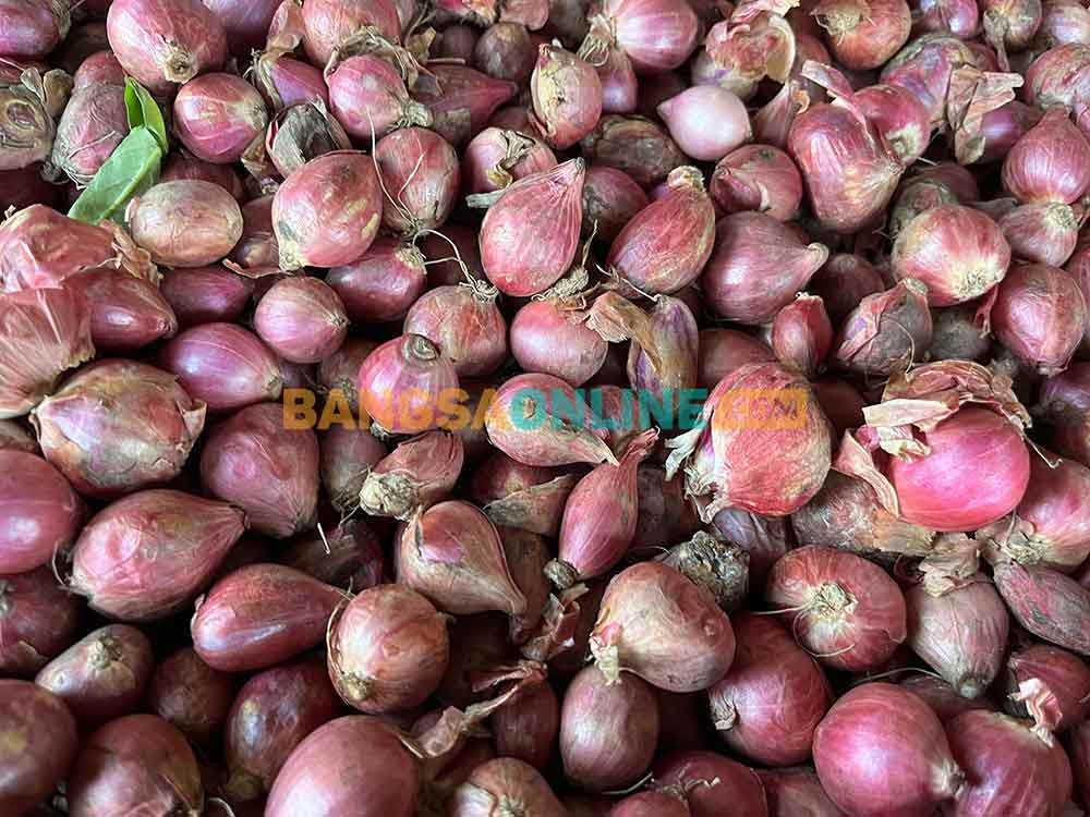 Harga bawang merah di Gorontalo hari ini naik drastis. Foto: Sulthon/Bangsaonline.
