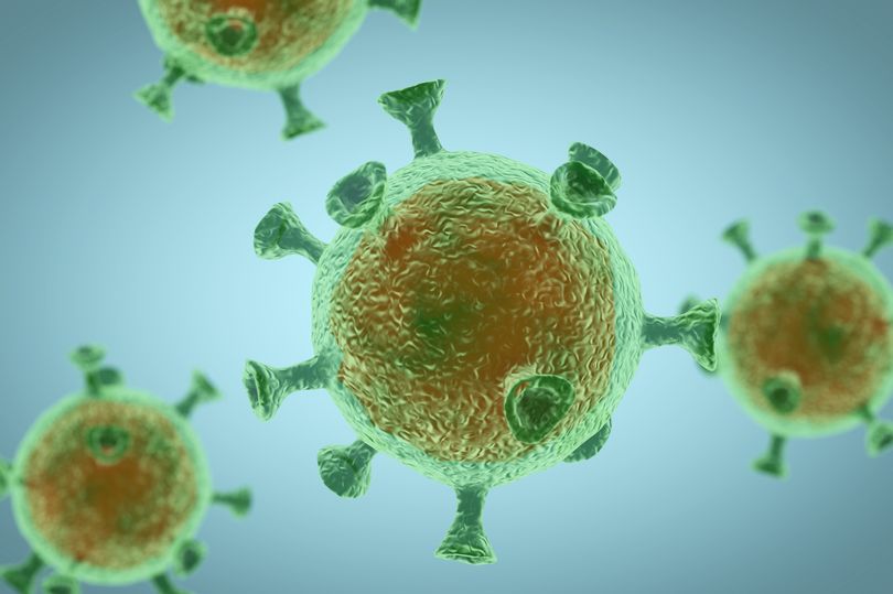 Waspadalah Dulur! Virus Corona telah Bermutasi Menjadi D614G yang Lebih Mematikan