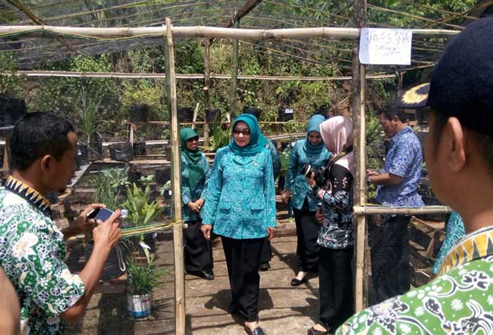 Ketua TP PKK Tuban Qodiriyah Fathul Huda saat mengunjungi taman mini di desa Wonosari.